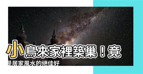 小鳥來家裡|【小鳥跑進家裡】小鳥闖進家裡，是什麼吉兆還是凶兆？教你看懂。